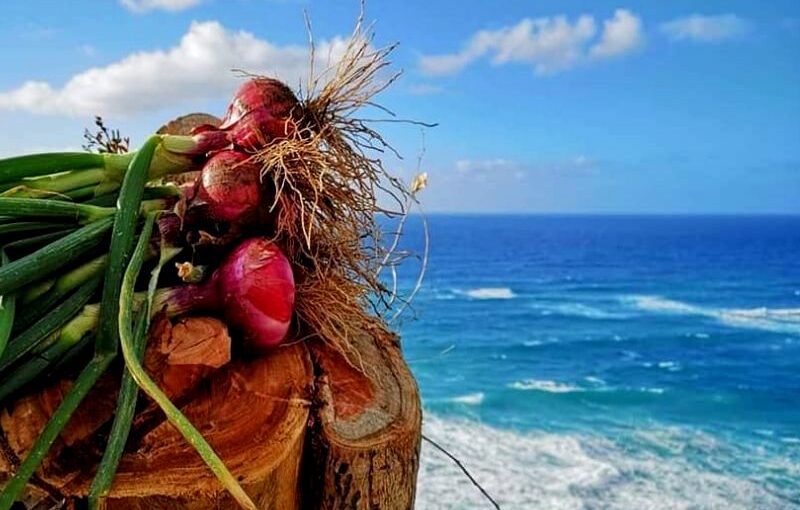 Gastronomia Tipica Tropeana